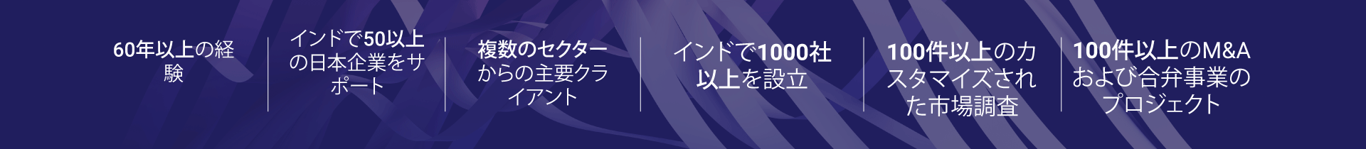 The_Nexdigm_Advantage_Japanese